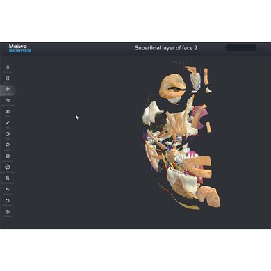 3d Human Anatomy Software
