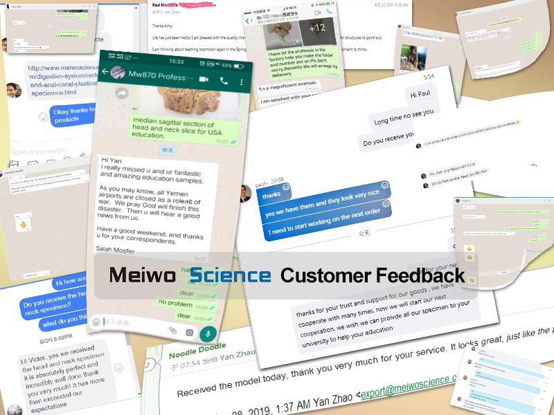 meiwo customer visit meiwo customer visit